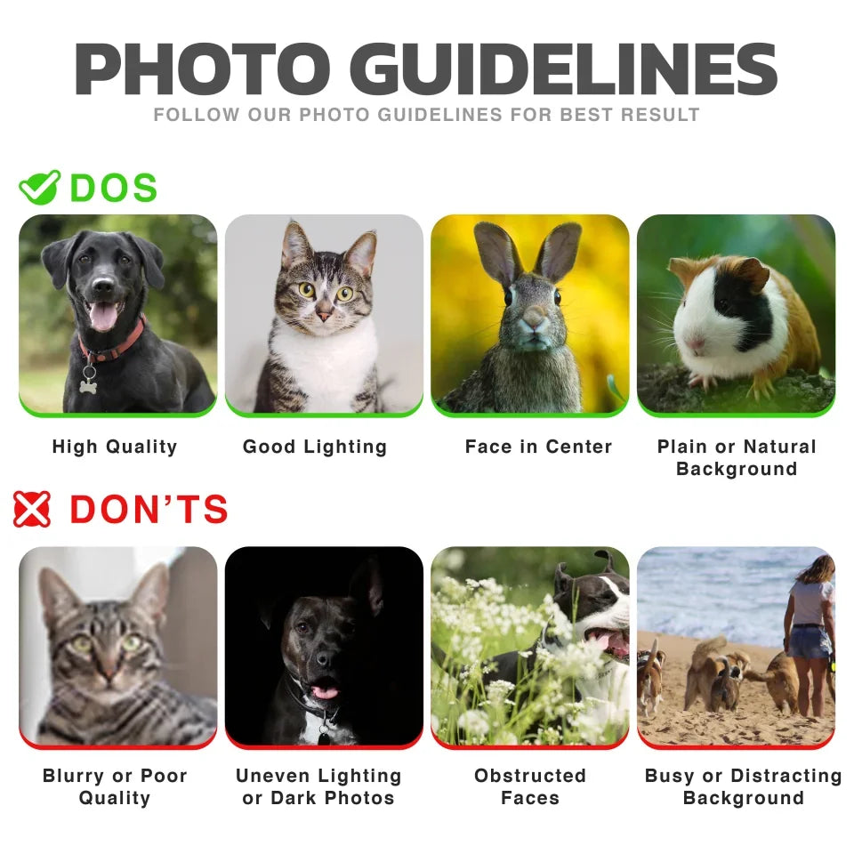 Guidelines