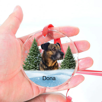  Glass Ornament