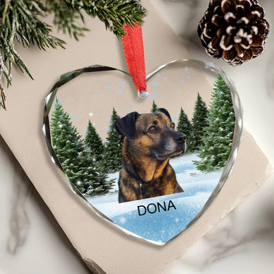 Heart Glass Ornament