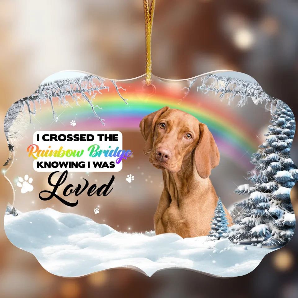 Acrylic medallion-shaped ornament with a Rainbow Bridge design, pet photo, and heartfelt message, ideal as a personalized pet loss keepsake