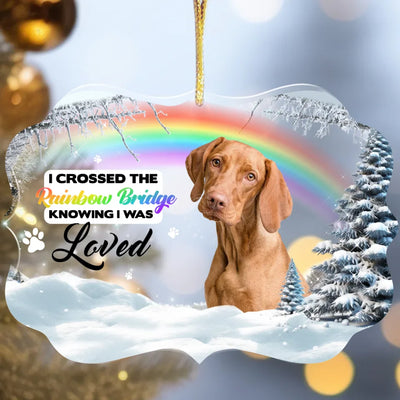 Acrylic medallion-shaped ornament with a Rainbow Bridge design, pet photo, and heartfelt message, ideal as a personalized pet loss keepsake