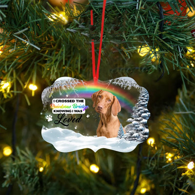 Acrylic medallion-shaped ornament with a Rainbow Bridge design, pet photo, and heartfelt message, ideal as a personalized pet loss keepsake