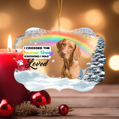 Acrylic medallion-shaped ornament with a Rainbow Bridge design, pet photo, and heartfelt message, ideal as a personalized pet loss keepsake