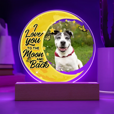 Custom 3D LED light with a pet photo and the message "Love You to the Moon and Back," perfect for a unique pet memorial
