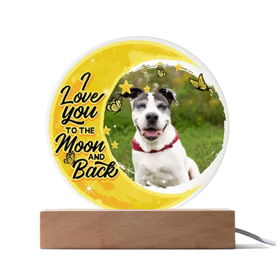 Custom Acrylic Plaque LED light with a pet photo and the message "Love You to the Moon and Back," perfect for a unique pet memorial