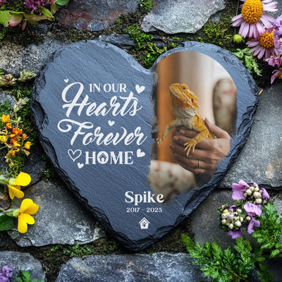 Engraved slate memorial stone for pet lizard Spike, displayed in a flower-filled garden setting with vibrant petals and natural rocks.