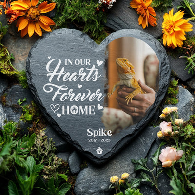 Engraved slate memorial stone for pet lizard Spike, displayed in a flower-filled garden setting with vibrant petals and natural rocks.
