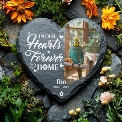 Heart-shaped slate memorial stone for a parakeet named Rio, featuring the quote “I loved you your whole life, I’ll miss you for the rest of mine,” with a custom photo of the bird perched indoors, surrounded by colorful flowers on a stone background.