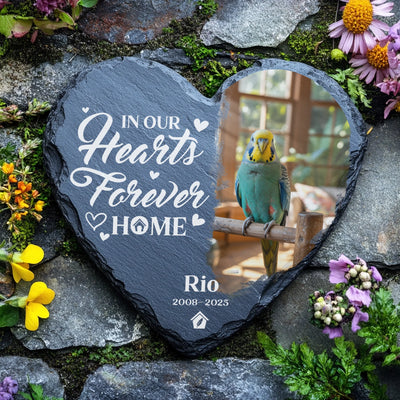 Heart-shaped slate memorial stone for a parakeet named Rio, featuring the quote “I loved you your whole life, I’ll miss you for the rest of mine,” with a custom photo of the bird perched indoors, surrounded by colorful flowers on a stone background.
