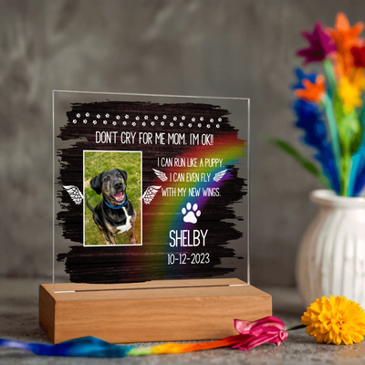 Personalized Rainbow Bridge Acrylic Memorial Plaque featuring a photo of a dog, vibrant rainbow design, angel wings, heartfelt text, and LED wooden base