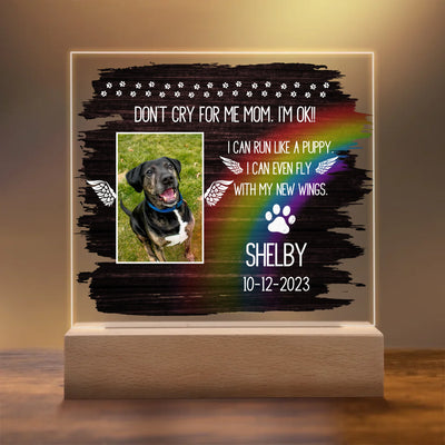 Personalized Rainbow Bridge Acrylic Memorial Plaque featuring a photo of a dog, vibrant rainbow design, pet loss gift, LED wooden base