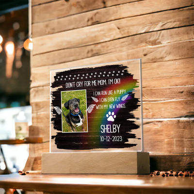 Personalized Rainbow Bridge Acrylic Memorial Plaque featuring a photo of a dog, vibrant rainbow design, angel wings, heartfelt text, and LED wooden base