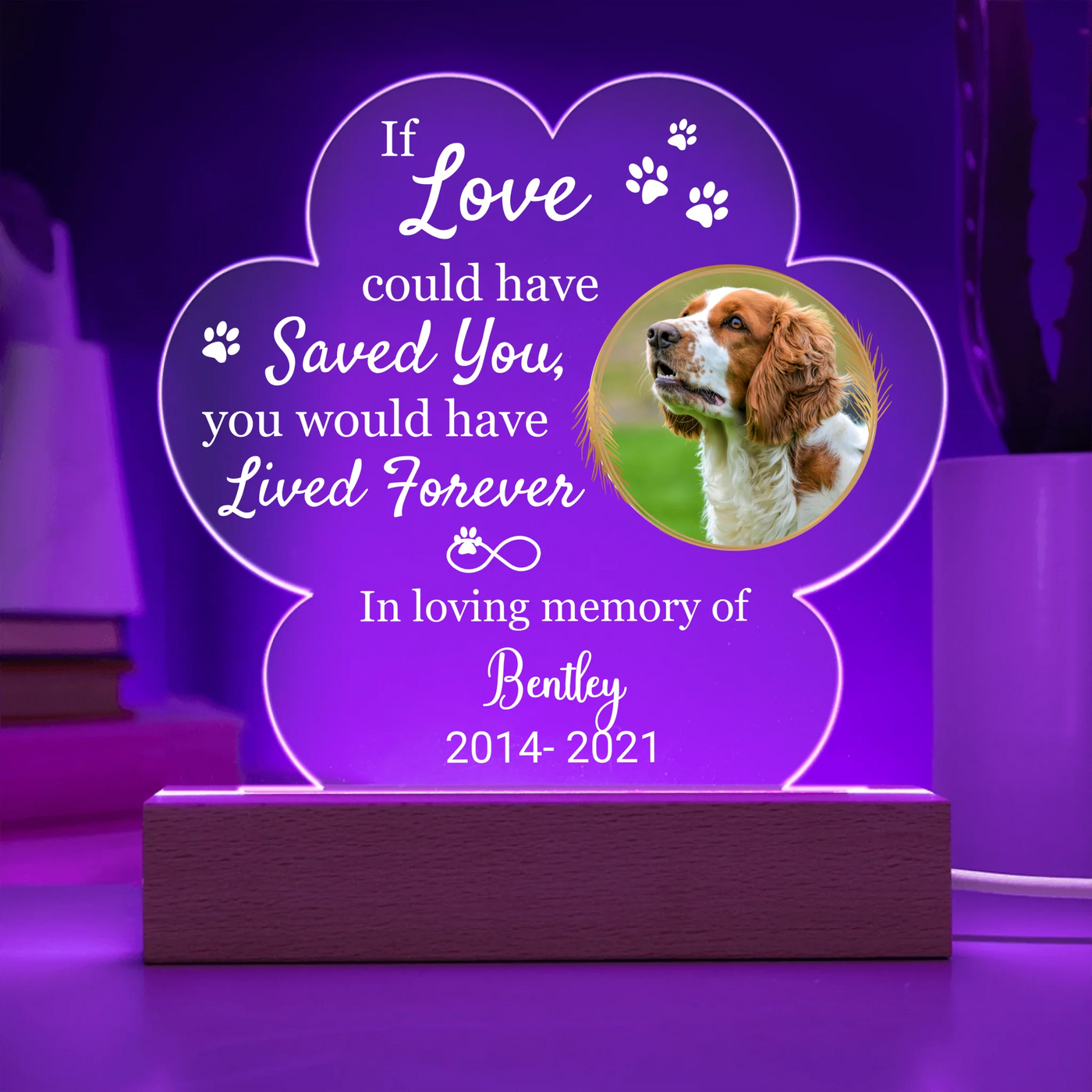 Custom LED light in a paw shape with a pet photo and the phrase "If Love Could Have Saved You," ideal as a heartfelt pet memorial keepsake