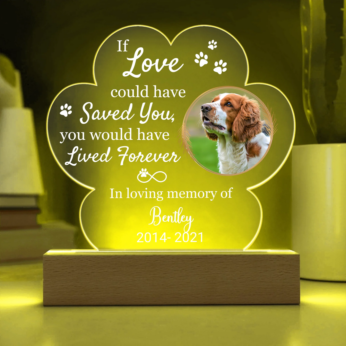 Custom LED light in a paw shape with a pet photo and the phrase "If Love Could Have Saved You," ideal as a heartfelt pet memorial keepsake