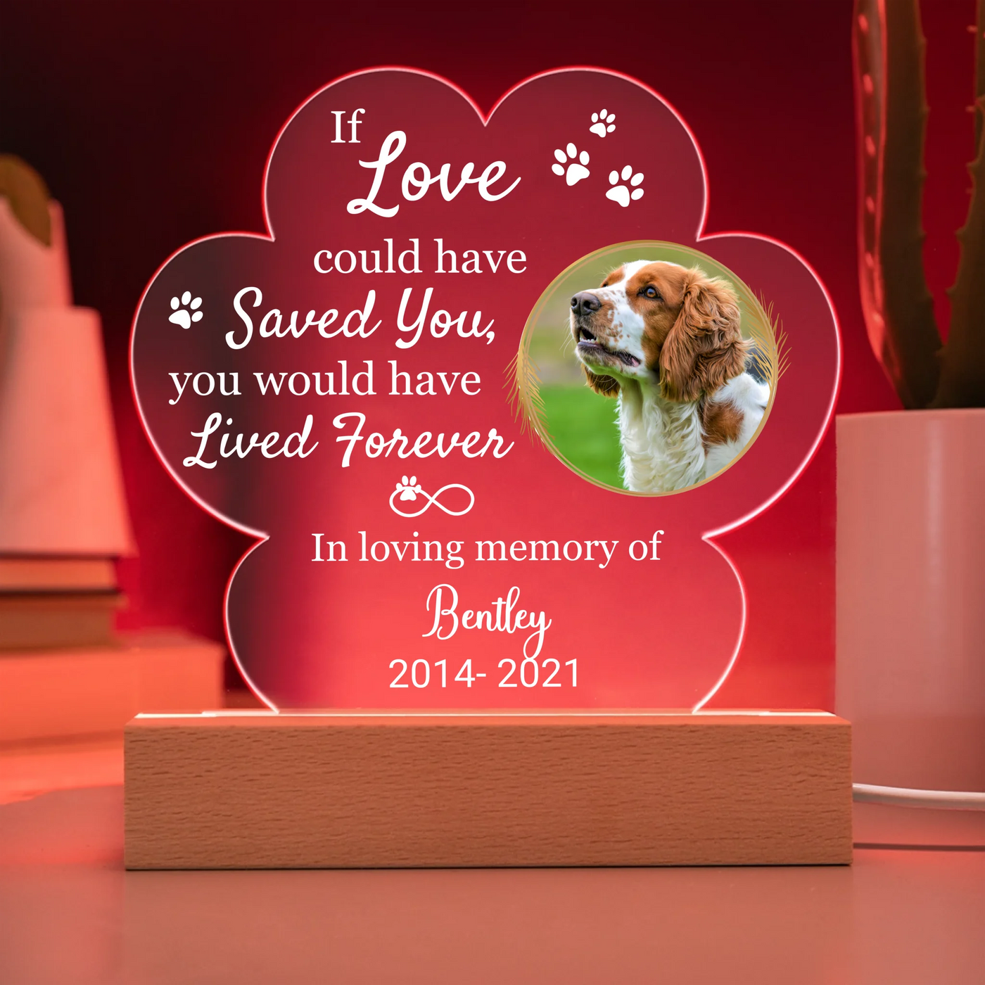 Custom LED light in a paw shape with a pet photo and the phrase "If Love Could Have Saved You," ideal as a heartfelt pet memorial keepsake