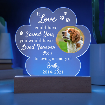 Acrylic Paw LED 10