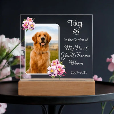 Acrylic square LED light with a custom pet photo and the text "In the Garden of My Heart, You'll Forever Bloom," surrounded by delicate floral accents