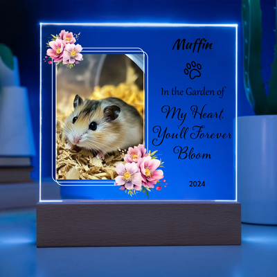 Acrylic square LED light with a custom pet photo and the text "In the Garden of My Heart, You'll Forever Bloom," ideal for memorializing loved ones