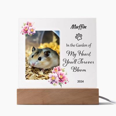 Acrylic square LED light with a custom pet photo and the text "In the Garden of My Heart, You'll Forever Bloom," ideal for memorializing loved ones