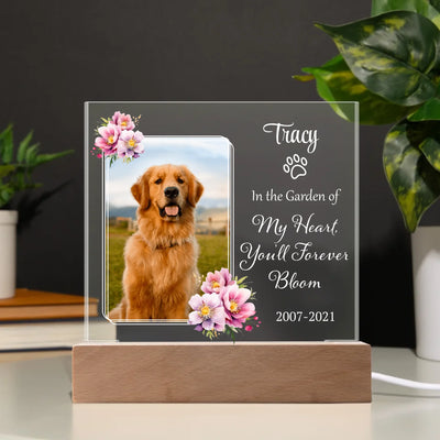 Acrylic Square Plaque Dark BG LED_5727