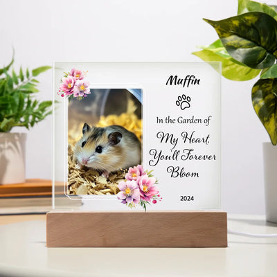 Acrylic Square Plaque LED