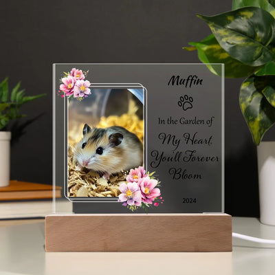 Acrylic Square Plaque  