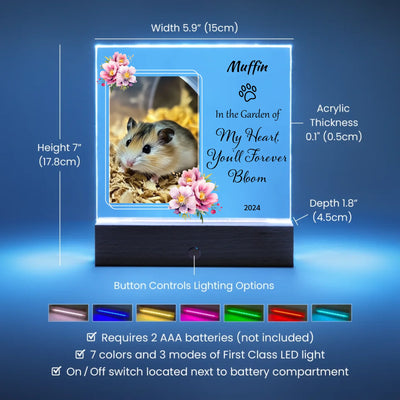 Acrylic Square Battery LED Base Features