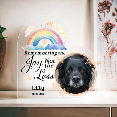 Remembering the Joy, Not the Loss - Memorial Personalized Custom Heart Shaped 3D LED Light - Sympathy Gift, Gift For Pet Owners, Pet Lovers