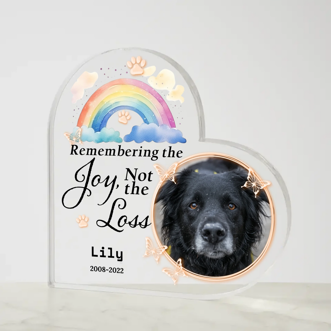 Remembering the Joy, Not the Loss - Memorial Personalized Custom Heart Shaped 3D LED Light - Sympathy Gift, Gift For Pet Owners, Pet Lovers