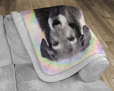 Custom memorial fleece blanket with pastel rainbow background and pet portrait – cozy tribute for any cherished animal.