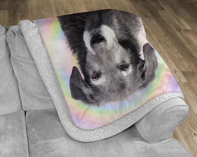 Custom memorial fleece blanket with pastel rainbow background and pet portrait – cozy tribute for any cherished animal.