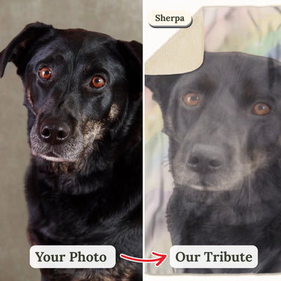Your photo → Our Rainbow Bridge Tribute (1)