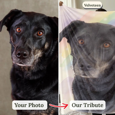 Your photo → Our Rainbow Bridge Tribute (2)