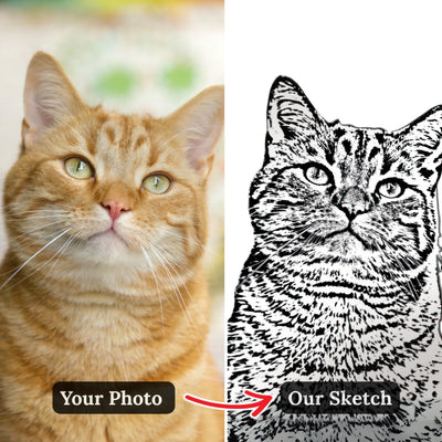 Your photo → Our Lina Art Sketch Tribute - Before → After image