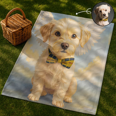 Copy of CV of Blanket Mockups V1.2
