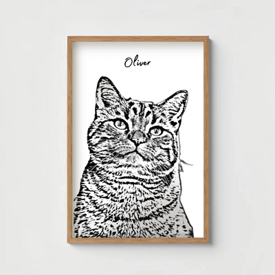 "Custom pet sketch portrait poster of a cat named Oliver, black and white line art style, printed on premium semi-gloss paper and framed in modern pinewood