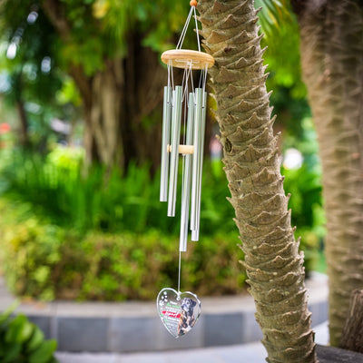 Glass ornament wind chime hanging on a tree branch, with sunlight filtering through the tubes and ornament