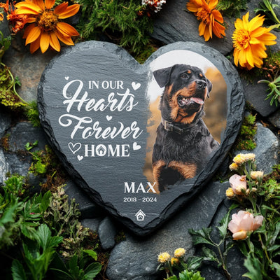 Heart-shaped memorial rock featuring a pet photo, the quote "In Our Hearts Forever Home," and custom details, ideal for pet remembrance