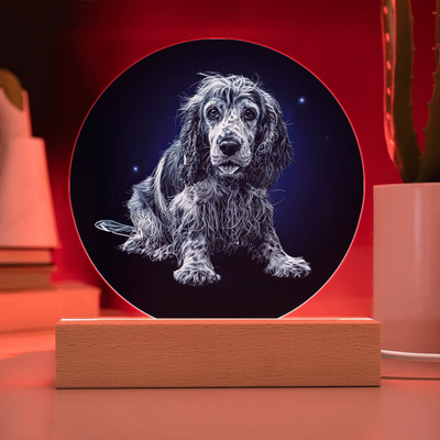 Personalized moonlit pet portrait acrylic plaque with changing LED colors on wooden base