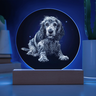 Example of custom pet photo transformed into etched moonlit portrait on LED acrylic circle plaque