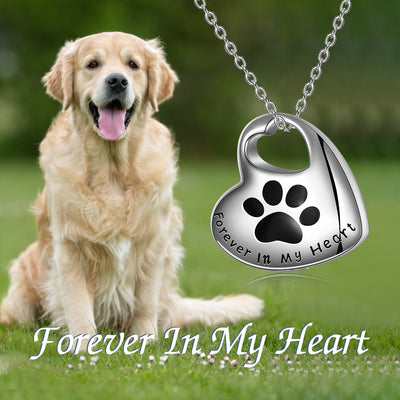 Dog sitting outdoors with a 'Forever In My Heart' paw print necklace.
